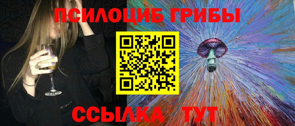 Лениногорск  Галлюциногенные грибы мицелий  Вход с VPN  купить наркотики цена  Псилоцибиновые грибы MAGIC MUSHROOMS 