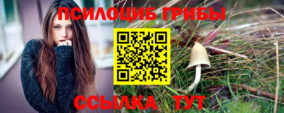 Псилоцибиновые грибы Cubensis Лениногорск